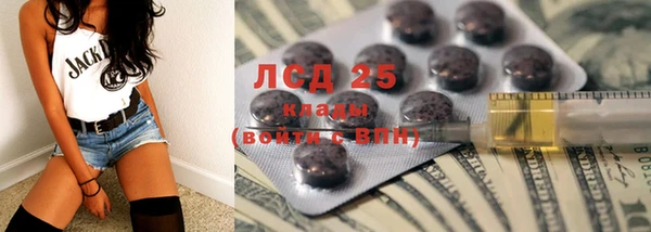 PSILOCYBIN Алзамай