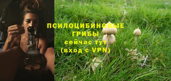 PSILOCYBIN Алзамай