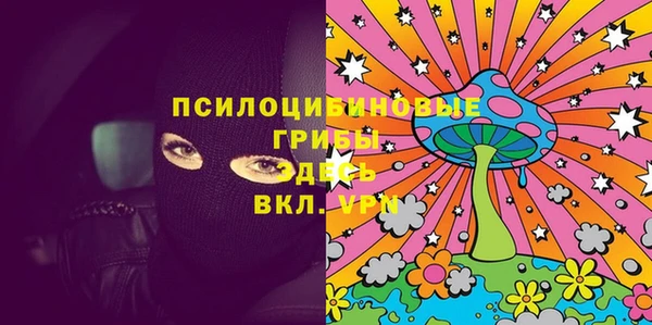 PSILOCYBIN Алзамай