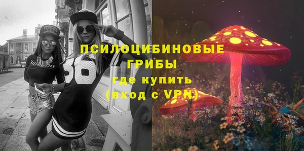 PSILOCYBIN Алзамай