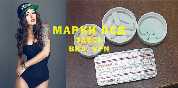PSILOCYBIN Алзамай